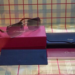 Cartier Unisex Wood Frame Gray Sunglasses